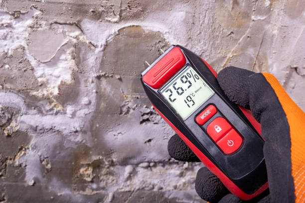 Best Certified Mold Removal  in Wilmington Manor, DE